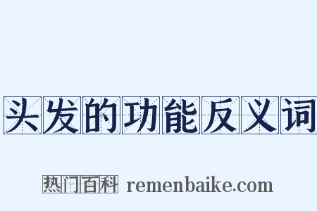 头发的功能反义词是什么意思的图片
